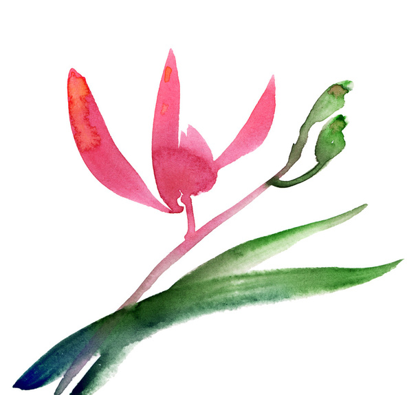 Aquarell-Orchideen-Illustration - Foto, Bild