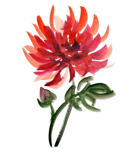 Waterkleur rode bloem - Foto, afbeelding
