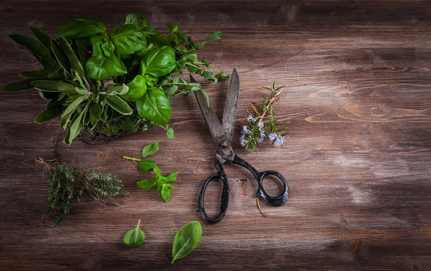 Herbs on wooden background - Photo, Image