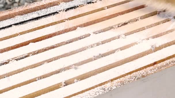 Cepillado de azúcar en polvo en espacios de abejas
 - Metraje, vídeo
