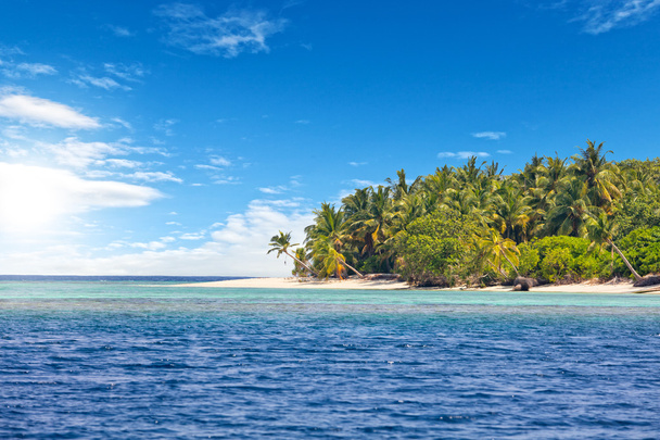Beautiful nonsettled tropical island - Photo, Image