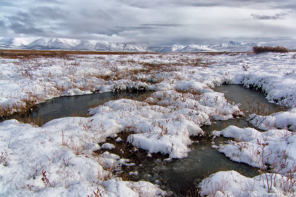 charcos pantanosos en la tundra en el valle del río
 - Foto, Imagen