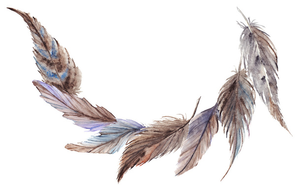 Ακουαρέλα γκρι γκρι μπλε καφέ φτερά σύνθεση οριστεί απομονωμένες - Φωτογραφία, εικόνα