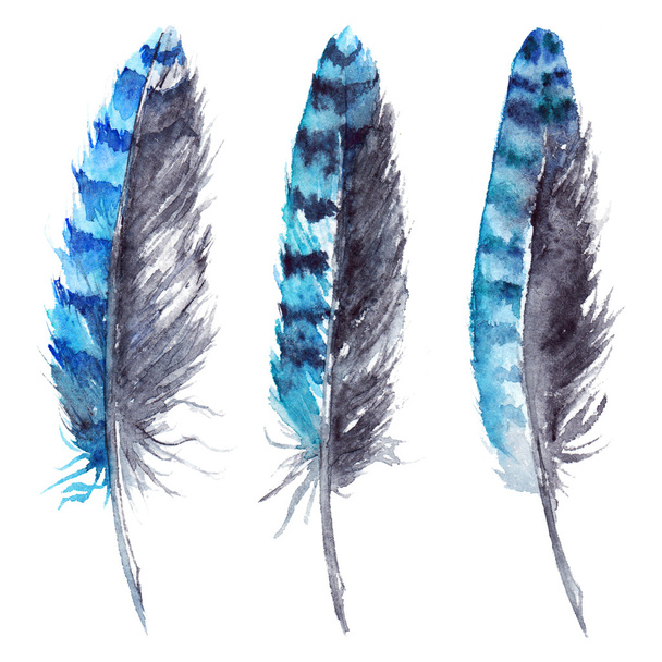 Watercolor black and blue jay feather set isolated - Фото, зображення