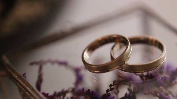Κοντινό πλάνο της χρυσές γαμήλιες Βέρες στο backround μοβ λουλούδια. - Πλάνα, βίντεο