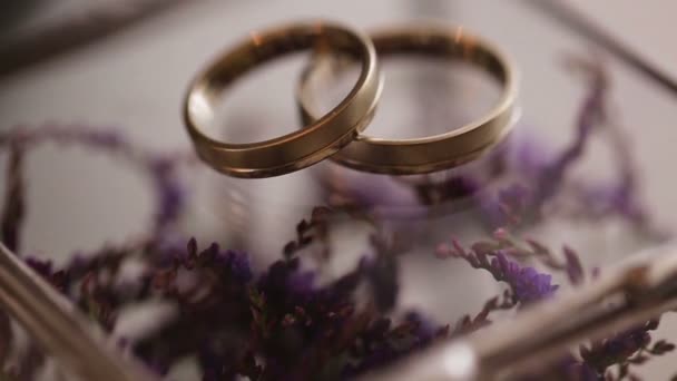 Close up of gold wedding rings on purple flowers backround. - Footage, Video