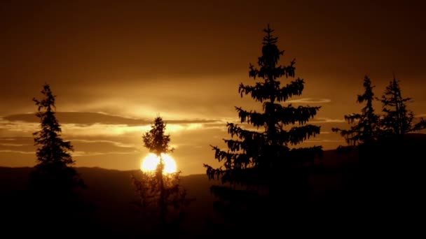 Ηλιοβασίλεμα στο ορεινό δάσος. Χρονική Πάροδος. - Πλάνα, βίντεο