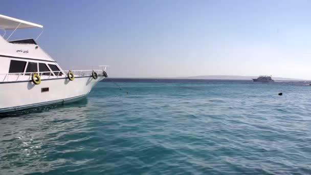una piccola barca a motore di lusso sul mare
 - Filmati, video