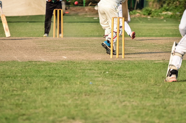 Kluci hrajou kriket - Fotografie, Obrázek