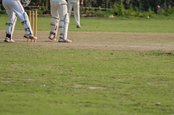 Kluci hrajou kriket - Fotografie, Obrázek