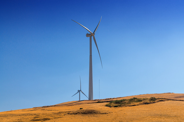 Ветряные турбины где-то рядом с Рондой, провинция Андалусия, Испания
. - Фото, изображение