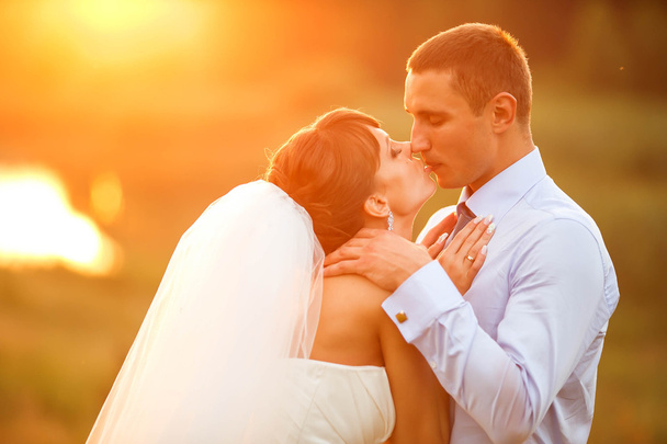 groom and bride is kissing - Foto, imagen