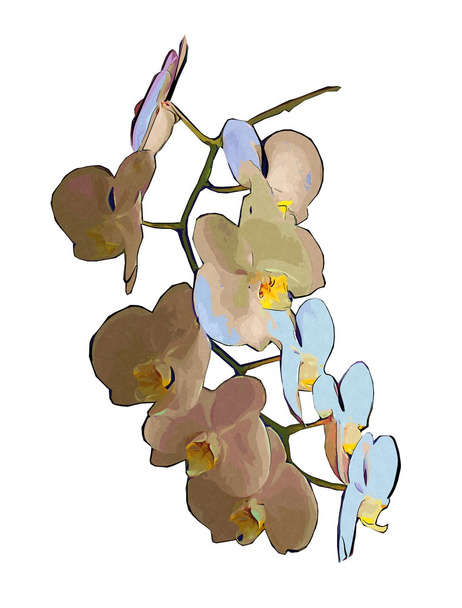 flower art illustration - Photo, Image
