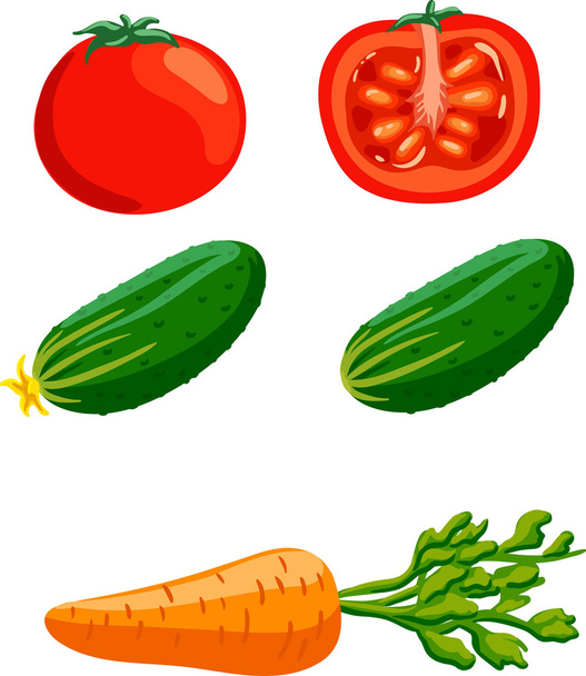 Set of drawn vegetables: red sliced tomato, green cucumber and orange carrot. Isolated - Vector, Image