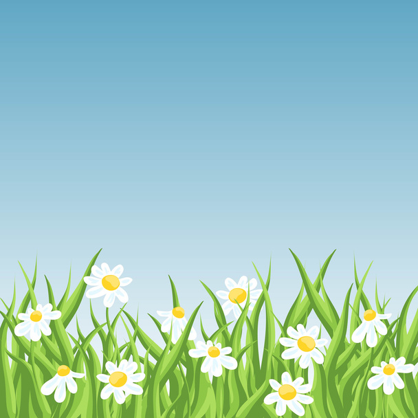 青空の背景にヒナギクを持つ新鮮な緑の草 - ベクター画像