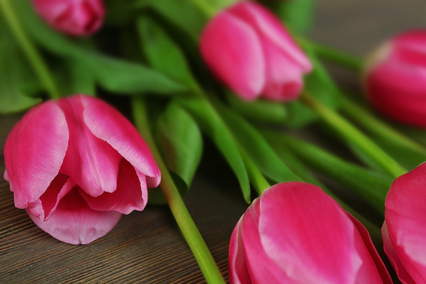 Fresh pink tulips  - Foto, immagini