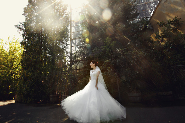 Beautiful romantic bride in white dress - Valokuva, kuva