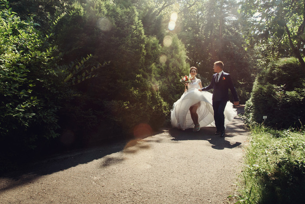 Romantik güzel yeni evli çift - Fotoğraf, Görsel