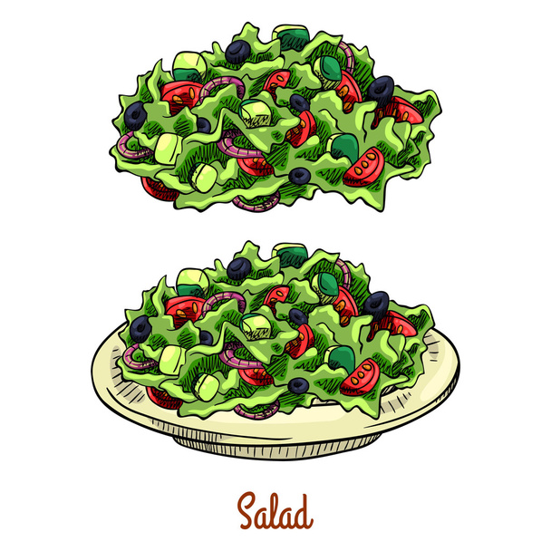 Salad. Isolated with the inscription - ベクター画像