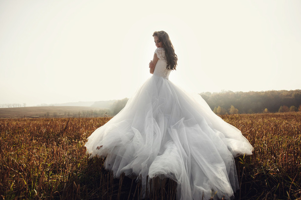 Beautiful brunette bride in white dress - Foto, Imagem