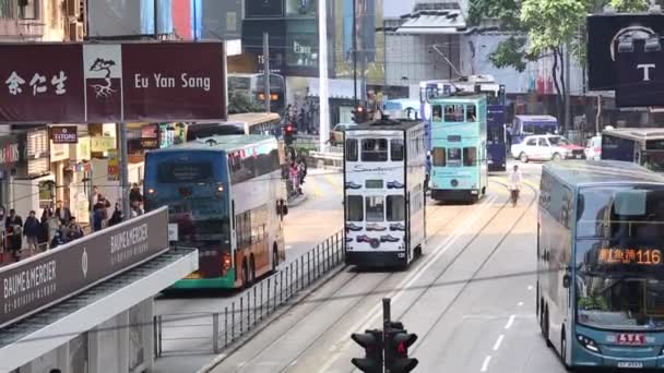 Επισκεψιμότητα στο Hong Κονγκ με διώροφα λεωφορεία. - Πλάνα, βίντεο