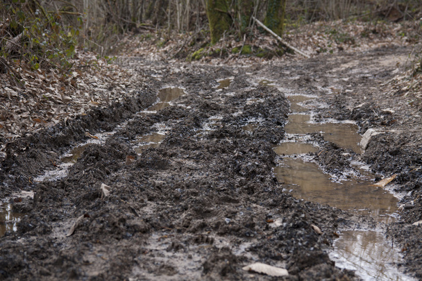 Mud track in nature - Photo, Image