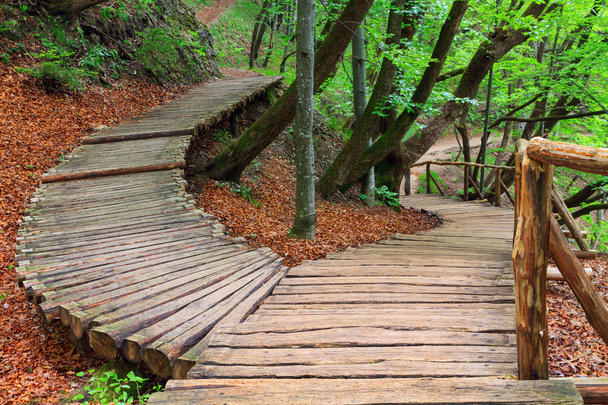 Sentiero del legno nel parco nazionale di Plitvice
 - Foto, immagini