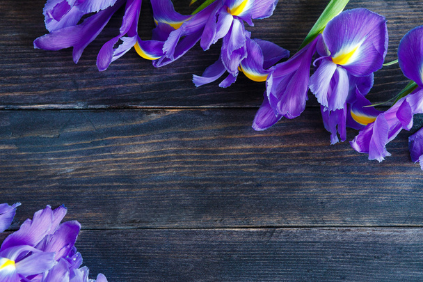 bouquet of irises - Foto, Imagem