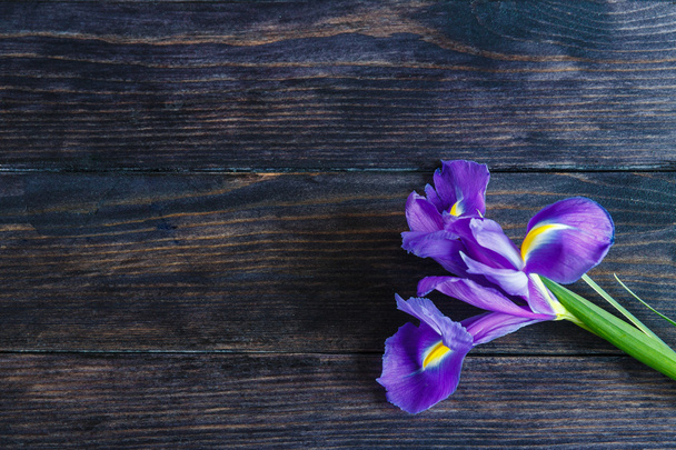 Purple iris on a wooden background - Fotó, kép