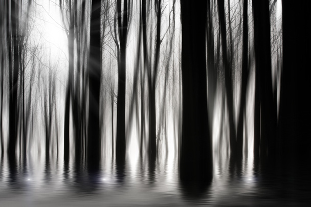 Kísérteties erdőben a Bw árvíz - Fotó, kép