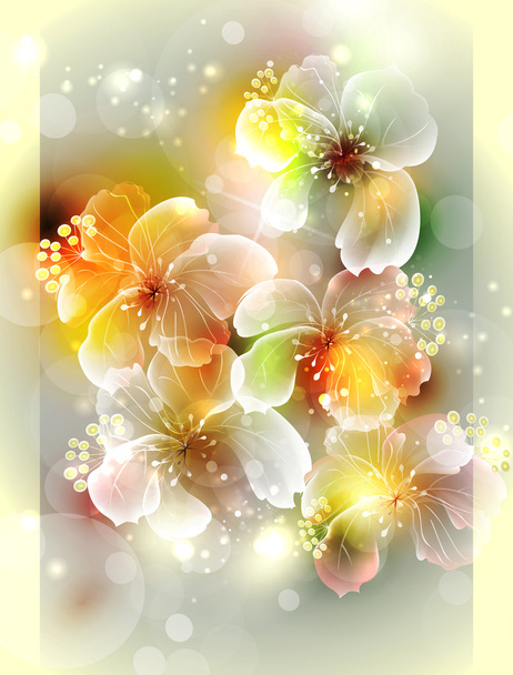 Fondo con flor abstracta
 - Vector, Imagen