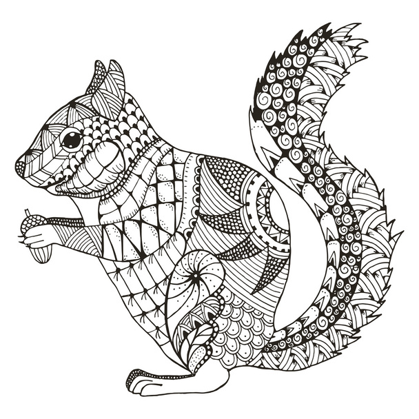 Squirrel zentangle stylized, vector, illustration, pattern, freehand pencil, hand drawn. - Vector, Image
