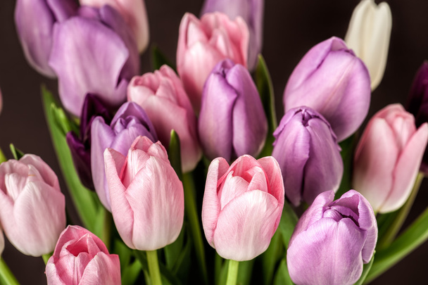 Colorful tulips close-up - Fotoğraf, Görsel