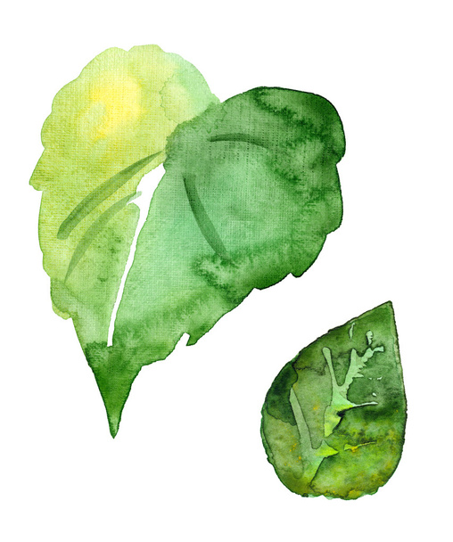 Watercolor picturesque  leaves - Fotoğraf, Görsel