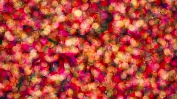 Вспышки частиц различных цветов
 - Кадры, видео