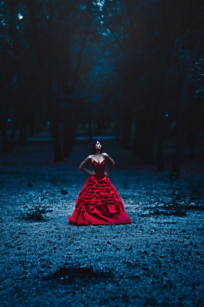 Serene. Fairy girl wearing Long Red Dress in the Forest. Evening. - Foto, imagen