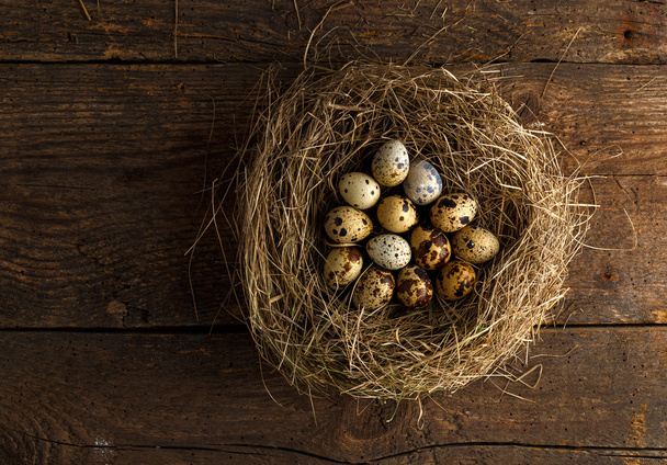 Przepiórcze jaja w gnieździe na drewnianym tle rustykalnym - Zdjęcie, obraz