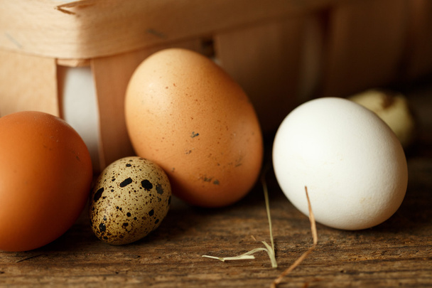 Курка і перепелині яйця на дерев'яному сільському фоні
 - Фото, зображення