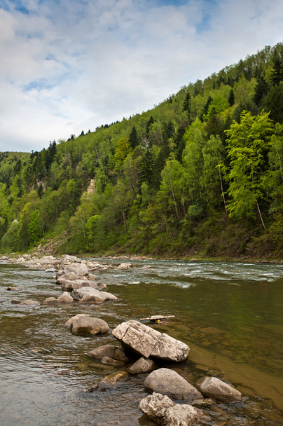River in Carpathians mountains in spring - Photo, Image