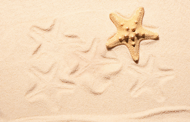 Starfish and marks of starfish on sand - Foto, immagini