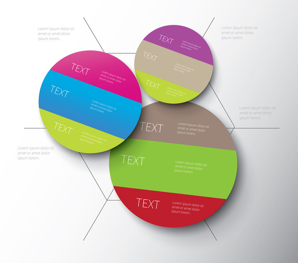infographic colour circles - Vector, Imagen