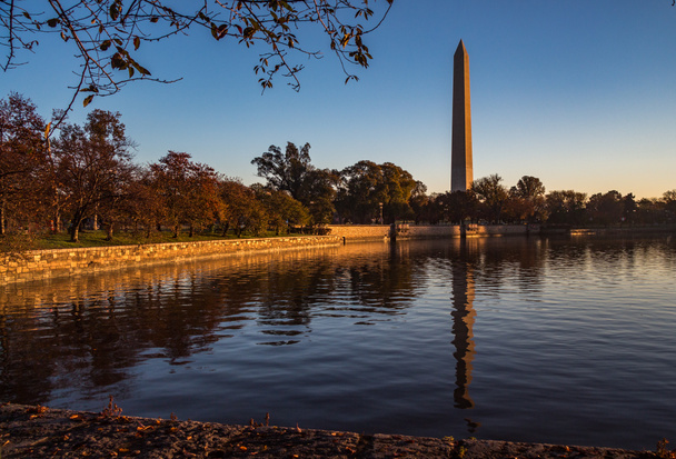 Washington en otoño
 - Foto, Imagen