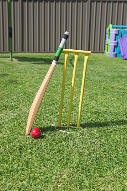 Backyard Cricket - Schlägerball und Baumstümpfe - Foto, Bild