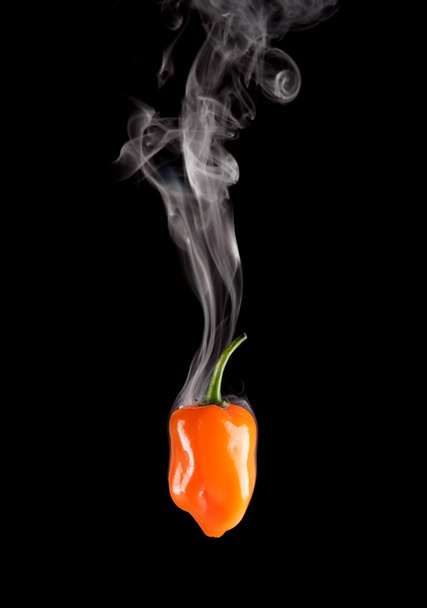 Fumer le poivre Habanero chaud (Capsicum Chinense
) - Photo, image