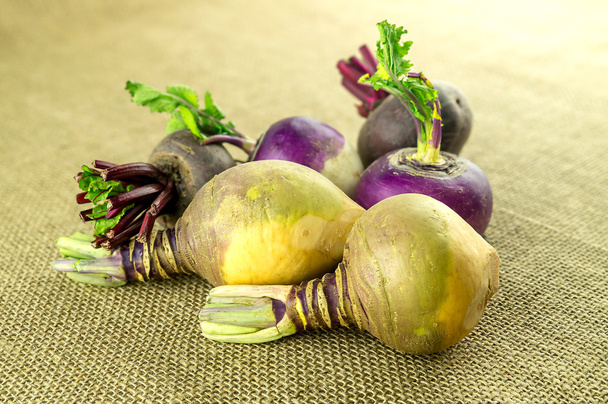 Swedish turnips with beets and purple turnip in background - Photo, Image