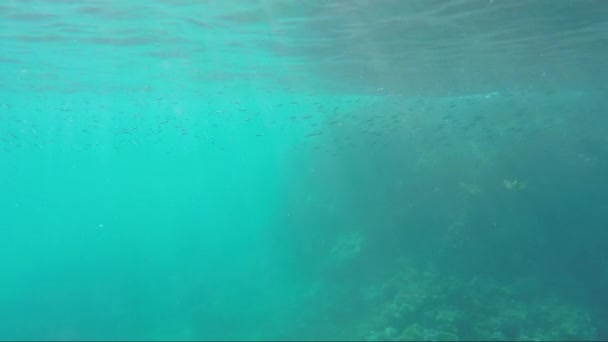 Su yüzeyi su altında güneş ışığı ile - Video, Çekim