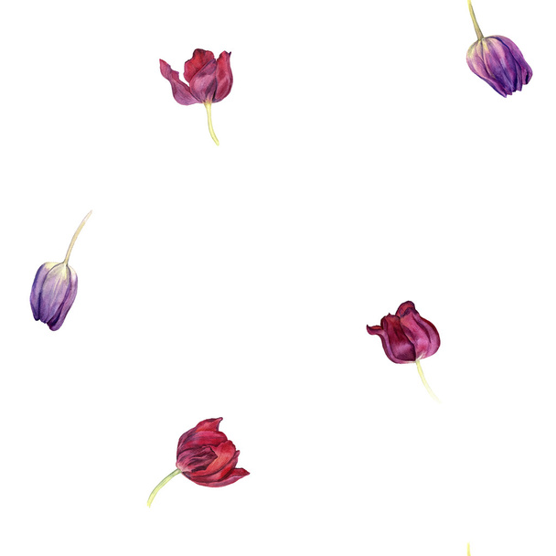 seamless pattern with watercolor tulip - Вектор, зображення