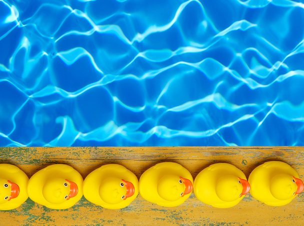 Patos de borracha perto da piscina
 - Foto, Imagem