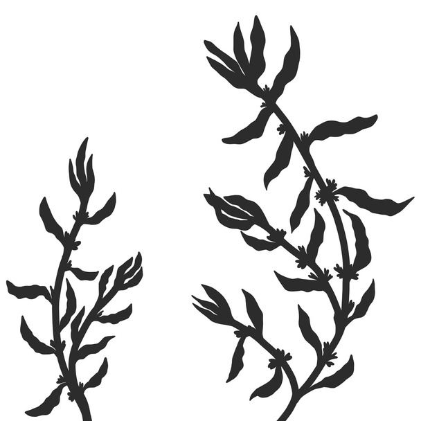 Kompozycja kwiatowa roślin i liści - Wektor, obraz