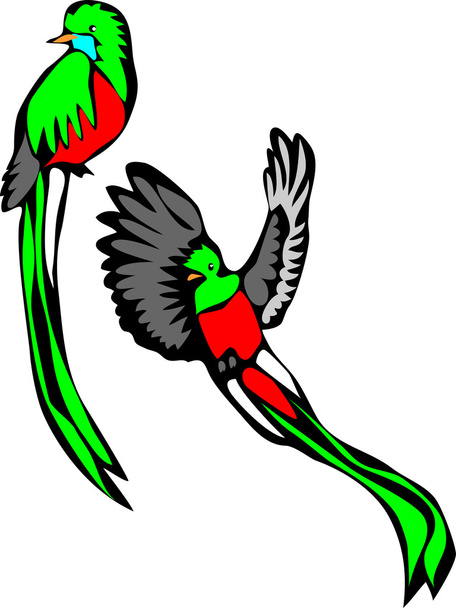 oturma ve uçan şaşaalı quetzal - Vektör, Görsel